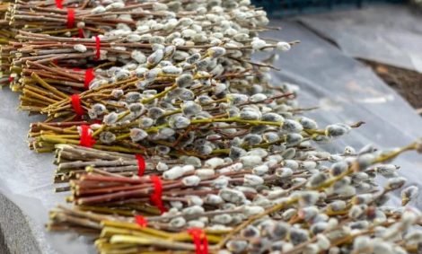 Вербное воскресенье: народные приметы и традиции праздника