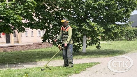 Как организован покос травы в Солигорске