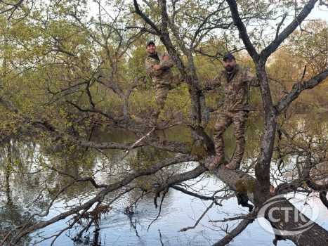 Что общего между «ходьбой» по воде и отдыхом?