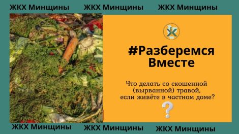 Что делать со скошенной (вырванной) травой, если живёте в частном доме?