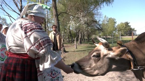 Юрьев день: в деревне Сковшин прошел старинный белорусский обряд «Юрье»