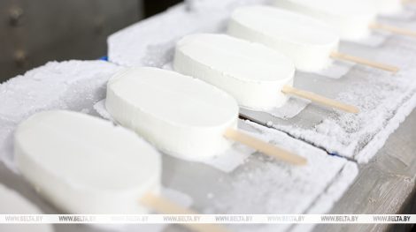 Безлактозное мороженое, закваски для сыров. Над какими новинками работают в молочной отрасли Беларуси