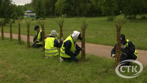 Сколько можно заработать в студотрядах?