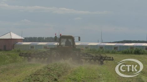 В ОАО "Добрица" идёт кормозаготовка