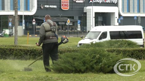 На пакос травы штодня выходзяць больш за 30 касцоў