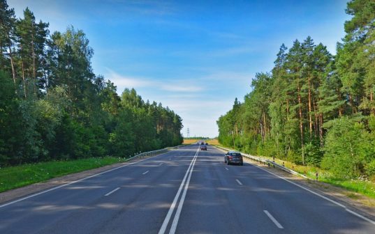 Интеллектуальные переходы для диких животных апробируют в Беларуси
