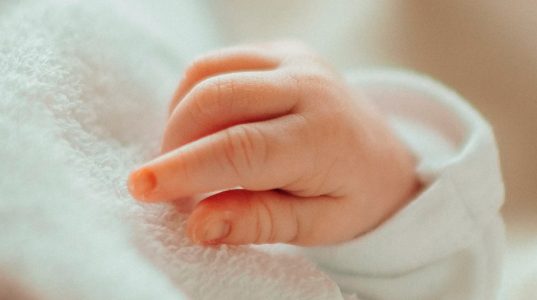 Как обновили госпрограмму ЭКО в Беларуси? Рассказываем о ключевых новациях