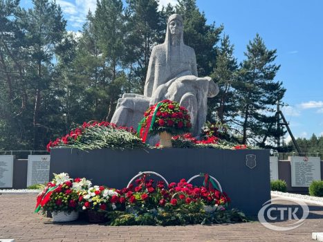 Митинг на мемориале «Скорбящая мать» в День Независимости