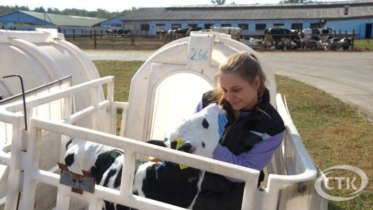 Около 60 тыс. молодых специалистов приступят к работе в этом году в Беларуси
