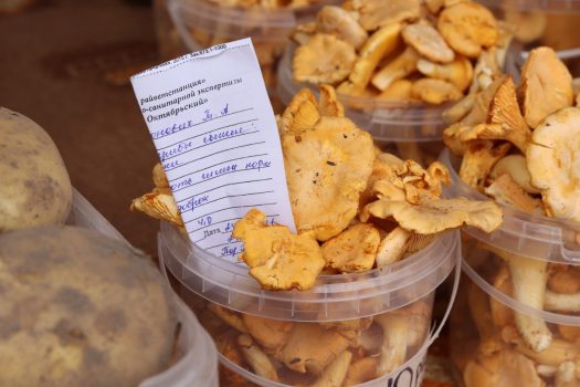 Ягодам и грибам - особое внимание. Почему нельзя покупать продукцию с рук?