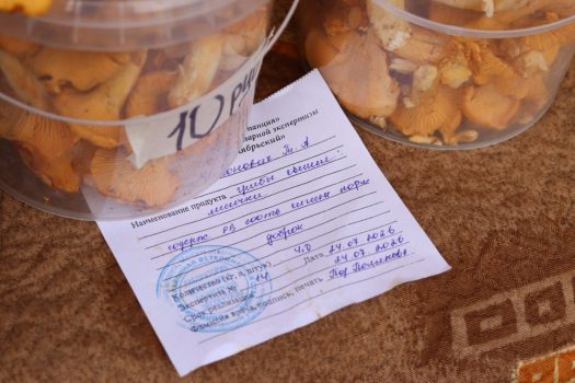 Ягодам и грибам - особое внимание. Почему нельзя покупать продукцию с рук?