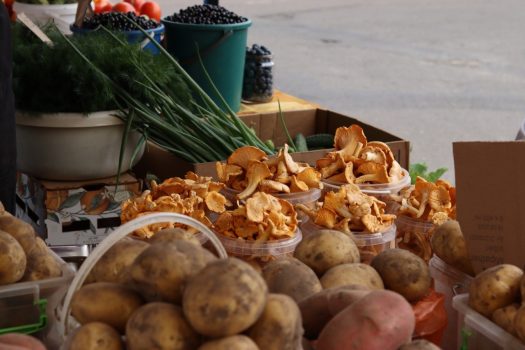 Ягодам и грибам - особое внимание. Почему нельзя покупать продукцию с рук?
