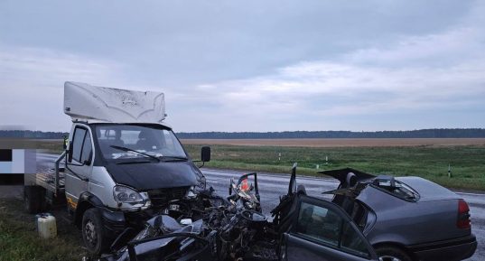 В Солигорском районе в ДТП погибли два человека. Возбуждено уголовное дело