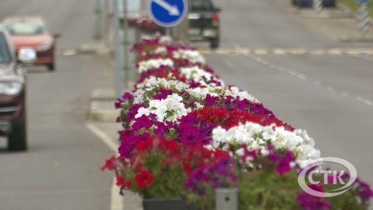 Вдоль Проспекта Мира продолжаются работы по установке декоративных кашпо