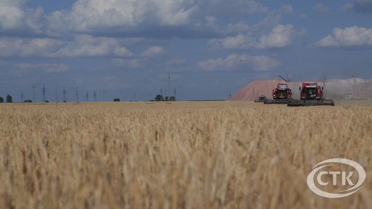 Якімі будуць Зажынкі, такі і ўраджай – на Салігоршчыне далі старт жніву