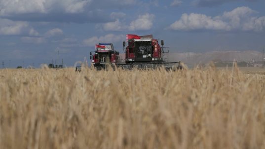 В Солигорском районе продолжается уборочная кампания