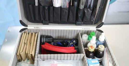 Опознание тел двух найденных в горах Кыргызстана альпинистов проведут 27 августа