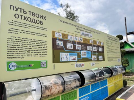 Чистая вода, зеленые леса и ответственный подход: как меняется экология в Солигорском районе?
