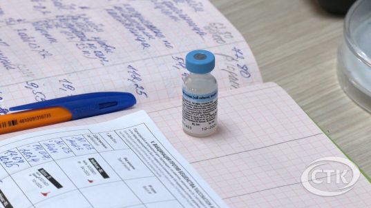 Почему прививать от бешенства нужно даже домашних животных?