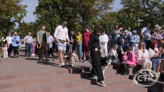 В Солигорске прошло яркое дог-шоу от клуба «БЭСТ»