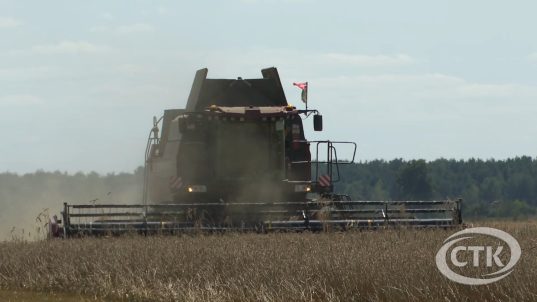 В Солигорском районе наградили новых тысячников