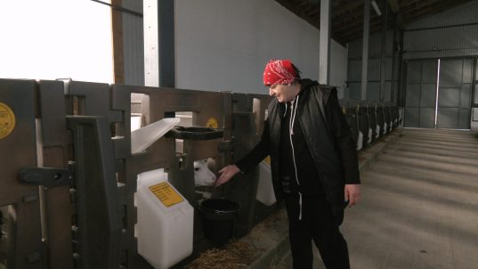 «Такие маленькие хорошенькие, детки»: животновод Ирина Гаргун о комфортных условиях в новом профилактории для телят