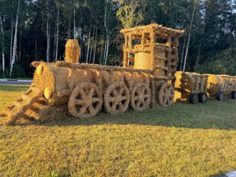 В Минской области выбирают лучшую соломенную фигуру-2026