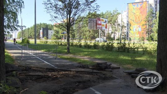 Ремонт пешеходной дорожки на Козлова