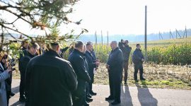 Что делать с "горами" вокруг Солигорска? Лукашенко ознакомился с экспериментом по повышению плодородия почв