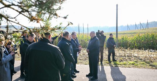 Что делать с "горами" вокруг Солигорска? Лукашенко ознакомился с экспериментом по повышению плодородия почв