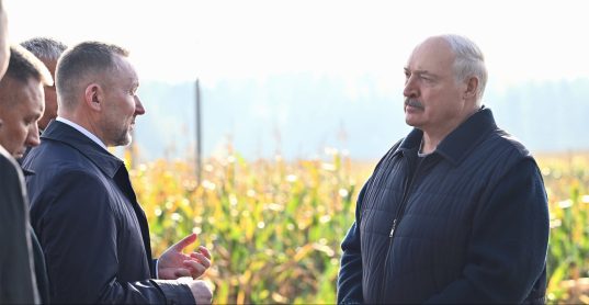 Лукашенко поручил Минсельхозпроду не ослаблять давление на регионы по проблеме падежа КРС