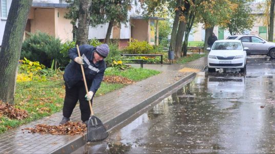 Уборка листвы в Солигорске ведется ежедневно