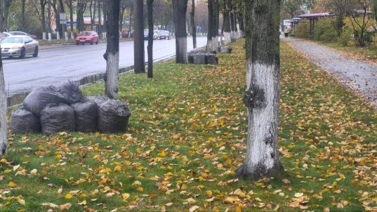 Уборка листвы в Солигорске ведется ежедневно