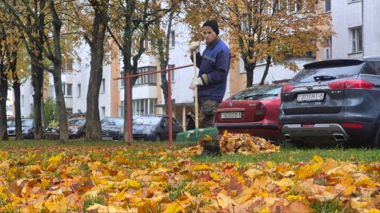 Уборка листвы в Солигорске ведется ежедневно