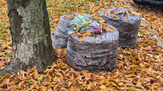 Уборка листвы в Солигорске ведется ежедневно