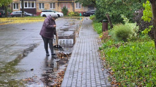 Уборка листвы в Солигорске ведется ежедневно