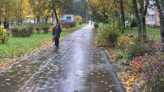 Уборка листвы в Солигорске ведется ежедневно